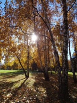 Autumn at Kolomenskoye