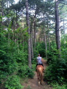 Pine forest, horseback riding in Crimea