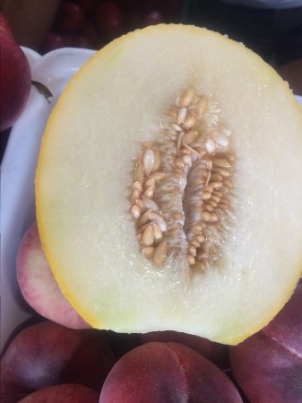 I asked for this small golden honey melon to be sliced up for me right at the market, because I had no knife in my shack.