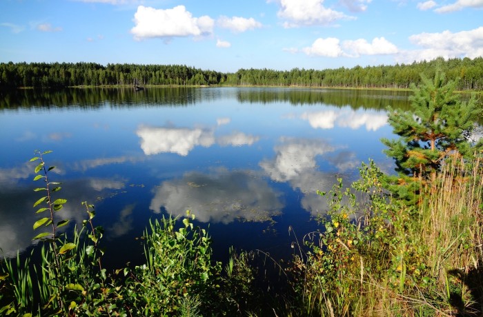Lake in Estonia