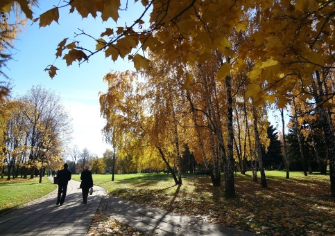 Autumn in Kolomenskoye